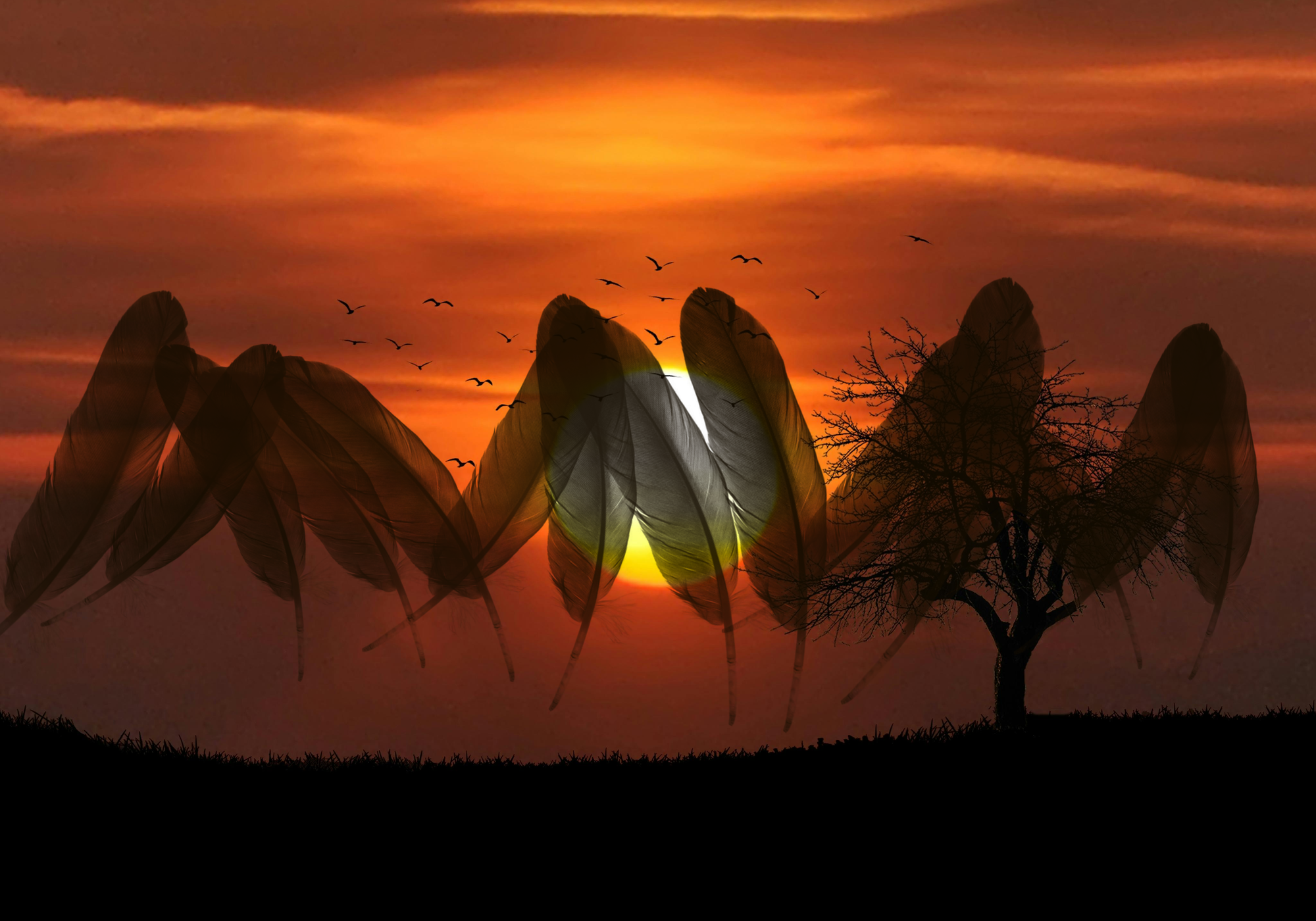 The Messenger Bird by Ravenella