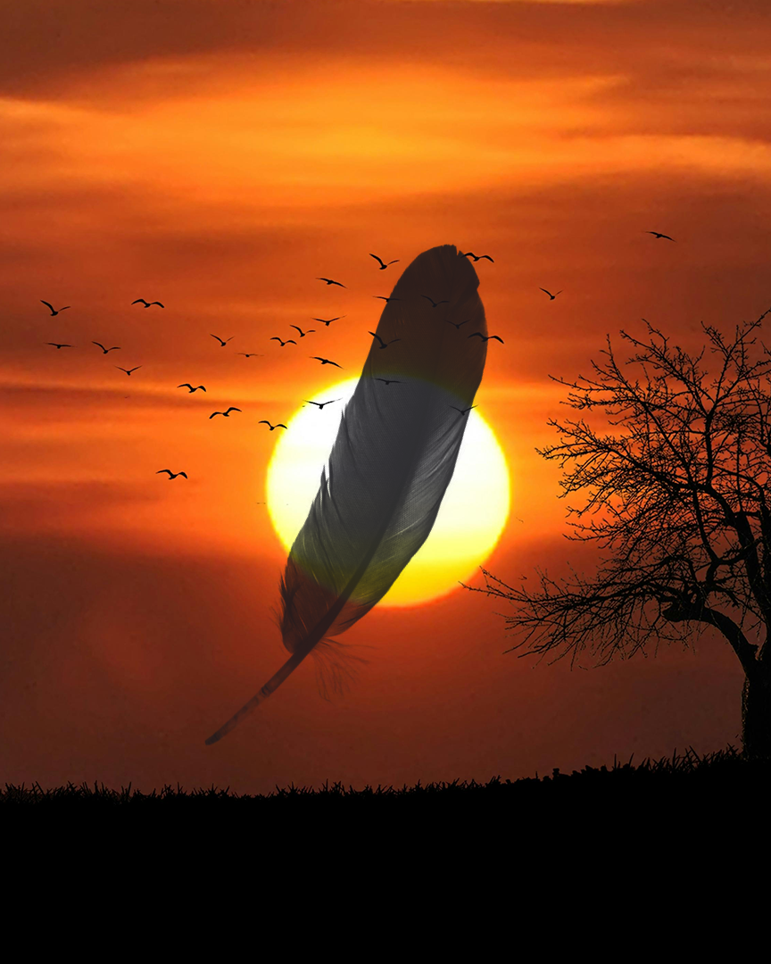 Landing Soon
